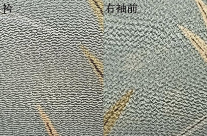 平和屋着物●訪問着　草花文　鬼しぼ縮緬　正絹　逸品　AABJ4030fy
