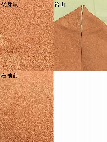 平和屋着物●上質な色無地　樹林地紋　東雲色　正絹　逸品　AABJ4189fy