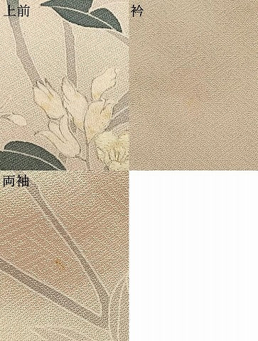 平和屋着物●訪問着　刺繍　枝花文　金彩　正絹　逸品　AABJ4275fy