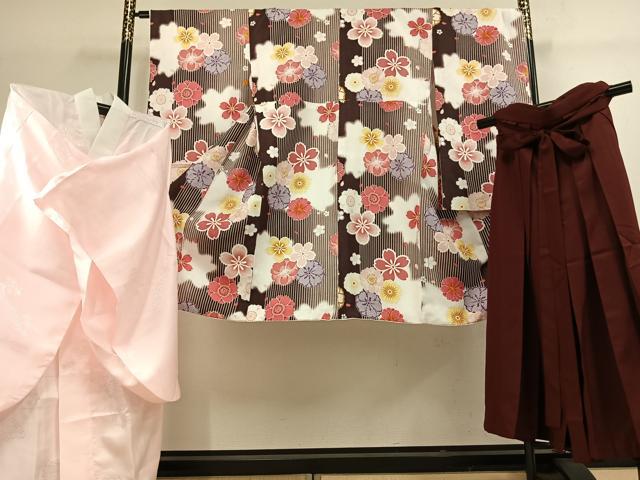 平和屋着物●小振袖　二尺袖・長襦袢(無双仕立て)・行灯袴セット　舞花文　暈し染め　洗える着物　AABJ4309fy