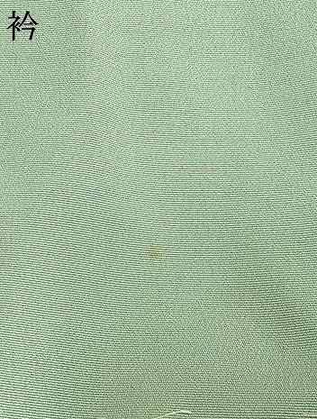 平和屋着物●訪問着　友禅　草花文　暈し染め　仮絵羽　正絹　逸品　未使用　AABJ4322fy