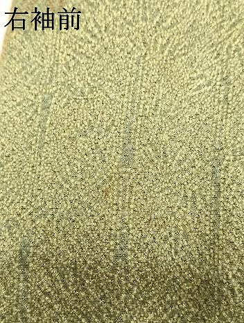 平和屋着物●訪問着　笹竹文　金彩　正絹　逸品　AABJ4351fy