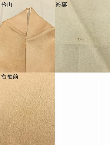 平和屋着物●訪問着　刺繍　花唐草文　暈し染め　正絹　逸品　AABJ4358fy