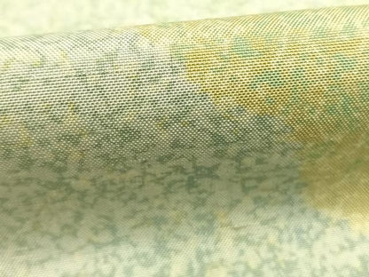 平和屋着物●石川県指定無形文化財　牛首紬　白山工房　手織り　訪問着　風景文　正絹　逸品　AABJ4456fy