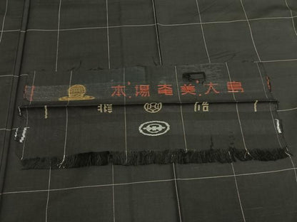 平和屋着物●本場大島紬　格子　黒地　廣田紬謹製　反端付き　正絹　逸品　AABJ4496fy