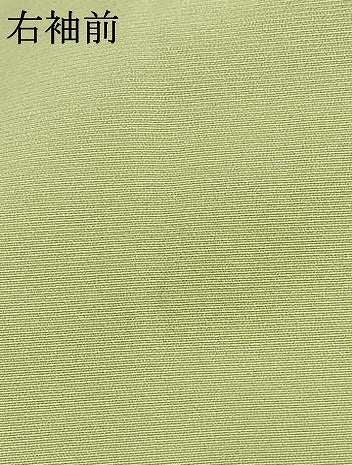 平和屋着物●訪問着　作家物　花蝶文　暈し染め　金銀彩　正絹　逸品　AABJ4679fy
