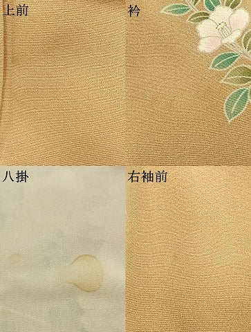 平和屋着物●訪問着　友禅　枝花文　暈し染め　金銀彩　正絹　逸品　AABJ4740fy
