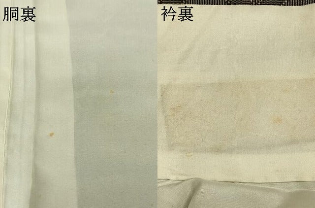平和屋着物●本場大島紬　龍郷絣　正絹　逸品　AABJ4759fy