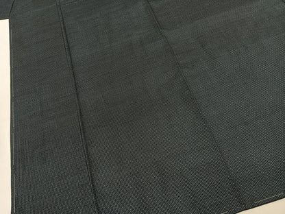 平和屋着物●男性　本場大島紬　アンサンブル　手織　亀甲柄　新納光夫作　証紙付き　正絹　逸品　未使用　AABJ4812fy