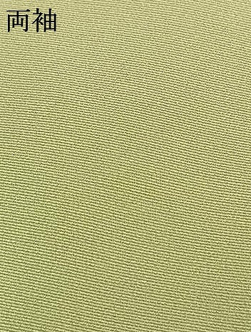 平和屋着物●訪問着　作家物　手描き　舞花文　暈し染め　正絹　逸品　AABJ4830fy