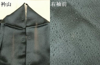 平和屋着物●訪問着　駒刺繍　草花文　暈し染め　金彩　正絹　逸品　AABJ4835fy