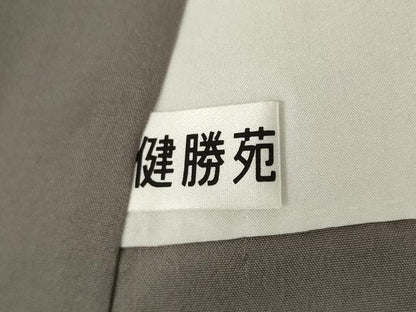 平和屋着物●ぜんまい紬　訪問着　型染め　幾何学花文　健勝苑扱い　正絹　逸品　未使用　AABJ4935ck