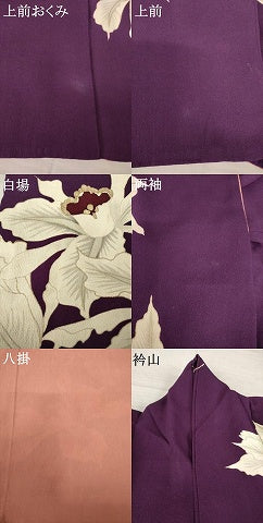 平和屋着物●アンティーク　大正ロマン　訪問着　舞花文　金彩　正絹　逸品　AABJ4948ck