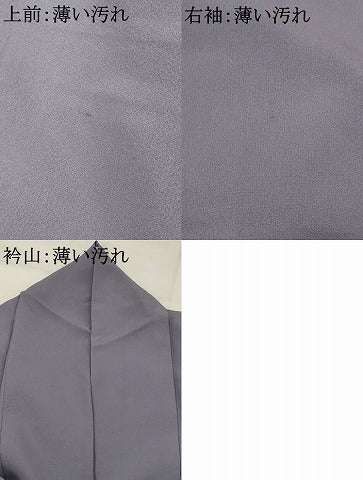 平和屋着物■色留訪問着　作家物　流水花鳥文　暈し染め　金彩　さが美扱い　ロング丈　正絹　逸品　AABJ5011st