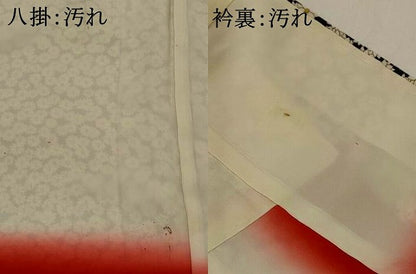 平和屋着物■上質な小紋　花づくし　黒地　正絹　逸品　AABJ5012st