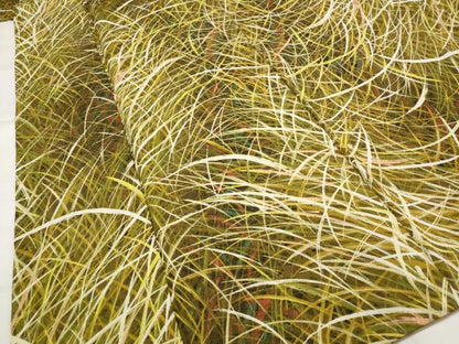 平和屋着物■上質な小紋　草葉づくし　正絹　逸品　AABJ5018st
