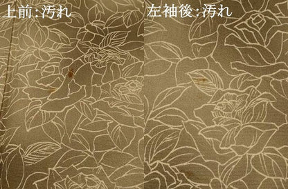 平和屋着物■上質な小紋　草花づくし　暈し染め　正絹　逸品　AABJ5019st