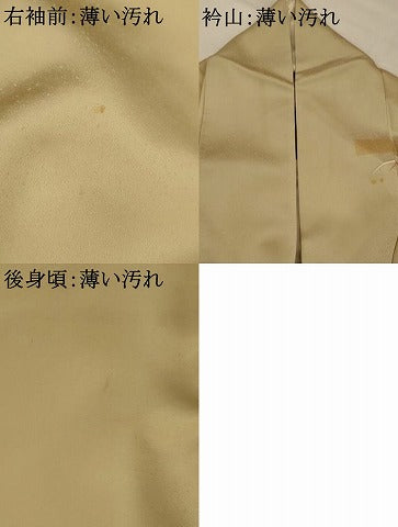 平和屋着物■訪問着　地紙花文　暈し染め　金彩　正絹　逸品　AABJ5028st