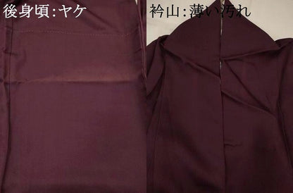 平和屋着物■訪問着　友禅　文箱花文　正絹　逸品　AABJ5033st