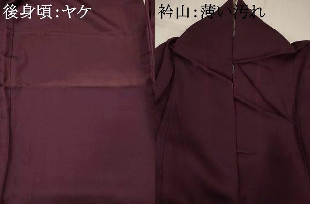 平和屋着物■訪問着　友禅　文箱花文　正絹　逸品　AABJ5033st