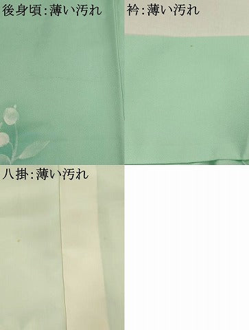 平和屋着物■訪問着　手描き　草花文　暈し染め　正絹　逸品　AABJ5055st