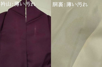 平和屋着物■訪問着　扇面鳳凰花文　暈し染め　銀彩　正絹　逸品　AABJ5060st
