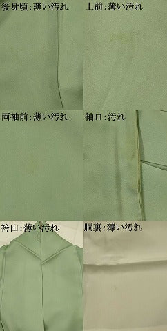 平和屋着物■豪華色留袖　松竹梅風景文　暈し染め　金彩　正絹　逸品　AABJ5074st