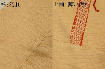 平和屋着物■訪問着　駒刺繍　蔦の葉花文　金糸　正絹　逸品　AABJ5091st