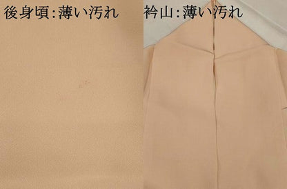 平和屋着物■訪問着　友禅　作家物　草花文　正絹　逸品　AABJ5111st