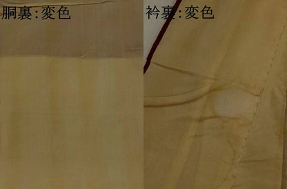 平和屋着物■訪問着　舞蝶文　金糸　正絹　逸品　AABJ5114st
