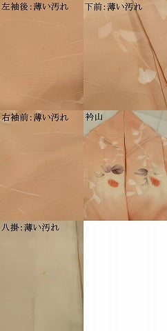 平和屋着物■上質な小紋　舞花文　暈し染め　正絹　逸品　AABJ5125st