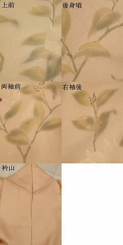 平和屋着物▽訪問着　単衣　刺繍　枝花文　暈し染め　正絹　逸品　AABJ5162st