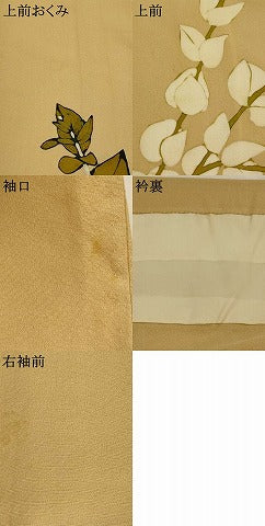 平和屋着物▽訪問着　単衣　草葉文　正絹　逸品　AABJ5173st