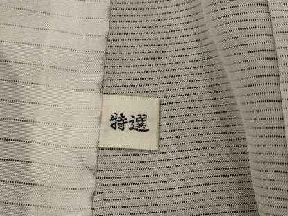 平和屋着物▽訪問着　無双　紗袷　紗×絽　流水飛鶴文　正絹　逸品　AABJ5187st