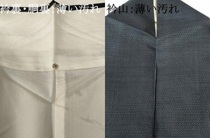 平和屋着物■本場大島紬　100亀甲　総詰め　正絹　逸品　AABJ5203br