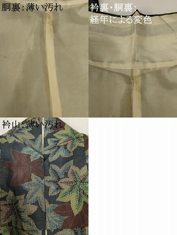 平和屋着物■本場大島紬　7マルキ　楓文　正絹　逸品　AABJ5231br