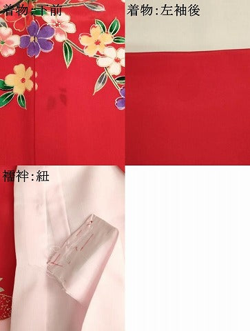 平和屋着物[]お宮参り　女の子　祝着　産着　初着　のしめ　花鼓飛鶴文　金彩　逸品　AABJ5329ja