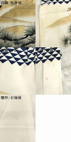 平和屋着物[]七五三　男の子　祝着・羽織・長襦袢（単衣）セット　鷹　松　金彩　AABJ5357ja