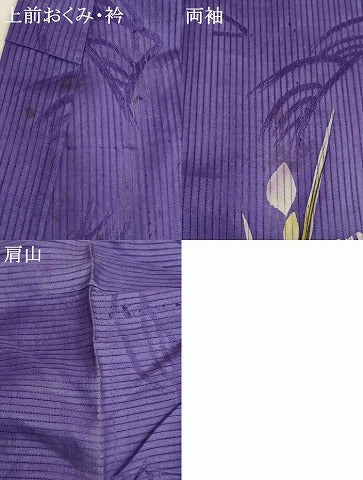 平和屋着物＊夏物　アンティーク　大正ロマン　お宮参り　女の子　祝着　産着　初着　のしめ　縦絽　花菖蒲　正絹　逸品　AABJ5636ja