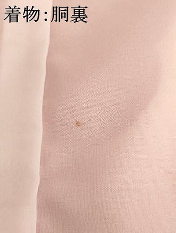 平和屋着物[]お宮参り　女の子　祝着　産着　初着　のしめ　扇面几帳花文　暈し染め　金彩　逸品　AABJ5659ja