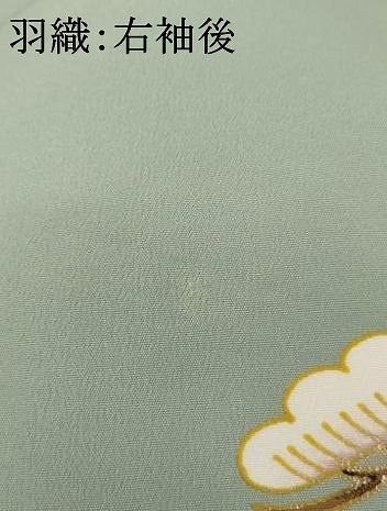平和屋着物[]七五三　男の子　祝着・羽織セット　刺繍　鷹松　金糸　金彩　AABJ5713ja