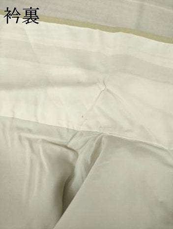 平和屋着物●訪問着　友禅　枝花文　暈し染め　正絹　逸品　AABJ5797ck