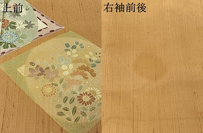 平和屋着物▽訪問着　単衣　紬地　友禅　吉祥花文　金彩　正絹　逸品　AABJ6034jh