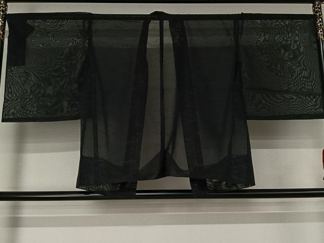 平和屋着物▽羽織　スリーシーズン　春夏秋　塵除け　草花文　黒地　仮絵羽　正絹　逸品　未使用　AABJ6184jh