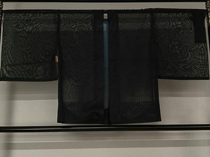 平和屋着物▽羽織　スリーシーズン　春夏秋　塵除け　草花文　黒地　仮絵羽　正絹　逸品　未使用　AABJ6184jh