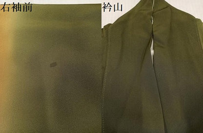 平和屋着物●訪問着　草花文　暈し染め　金彩　正絹　逸品　AABJ6292ph