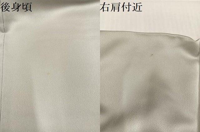 平和屋着物●染色作家　斉藤三才　訪問着　三才鳥　正絹　逸品　AABJ6298ph