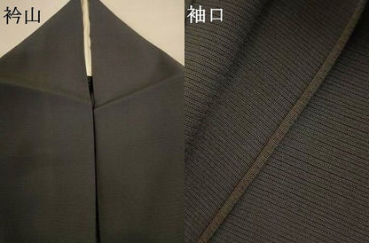 平和屋着物＊夏物　訪問着　絽　蛍　金彩　正絹　逸品　AABJ6361jd