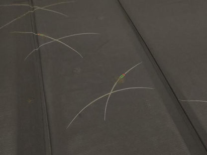 平和屋着物＊夏物　訪問着　絽　蛍　金彩　正絹　逸品　AABJ6361jd