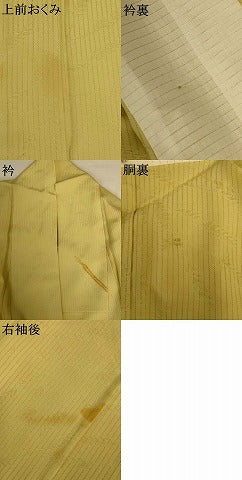 平和屋着物＊夏物　色無地　縦絽　舞葉紋紗　木蘭色　正絹　逸品　AABJ6362jd